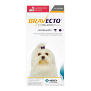 Bravecto for Dogs - Buy Bravecto Chewable for dogs at Cheapest Price 