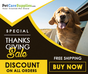 Exciting Discounts on this Thanskgiving Day