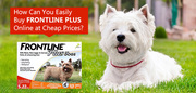 Price Dropped: Frontline plus at its cheapest price today! 
